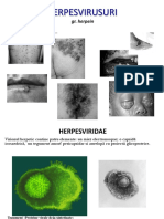 4. Herpes ppt.pdf