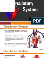 Circulatory System Group 1