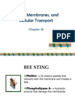 Biochemistry Lecture Chapter 06 Lipids