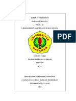 Laporan Praktikum Fisiologi Manusia Uji PDF