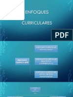 Enfoques_Curriculares