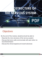 MICROSTRUCTURE OF THE NERVOUS SYSTEM