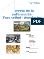 INFORME INTRO ENFERMERIA Fase Tribal Doméstica