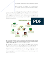 Punto 4 - Fase 3 - Comprobacion