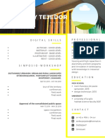 Modern Professional Resume PDF