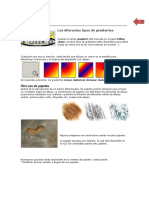 Manual de TVP Animation Pro 9.5-Lección 03B