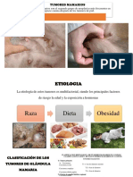 Diapositivas Del Proyecto de Patologia Clinica
