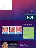 Glandulas Prostodoncia