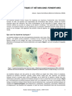 12 Bactéries Lactiques Et Métabolismes Fermentaires PDF