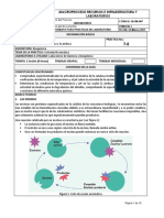 Enzimas catalasa y amilasa: actividad y factores que la afectan