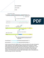 CRISPR Target Construction PDF