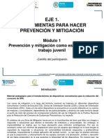 cartilla-participante-prevencion-mitigacion.pdf