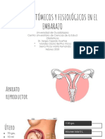 1 CAMBIOS ANATÓMICOS Y FISIOLÓGICOS EN EL EMBARAZO.pptx