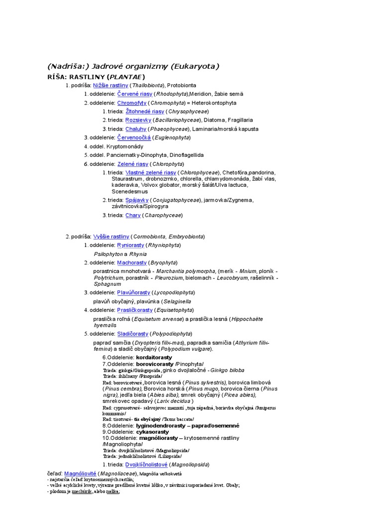System Rastlin | PDF