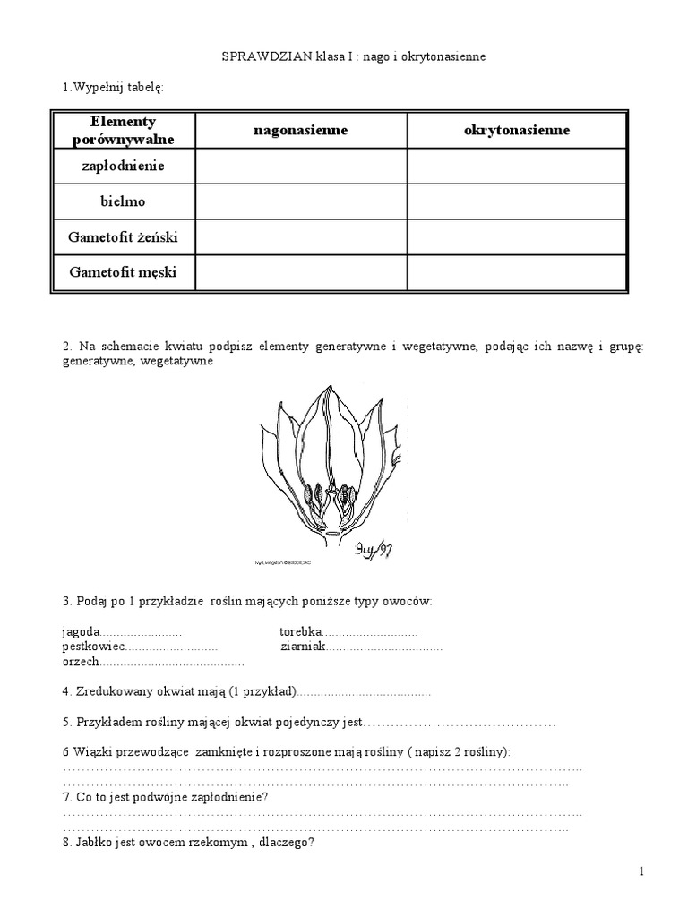Wirusy Bakterie Protisty Grzyby Sprawdzian Klasa 5 Chomikuj