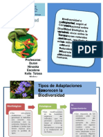 Presentbiodiversidad 120601150104 Phpapp02