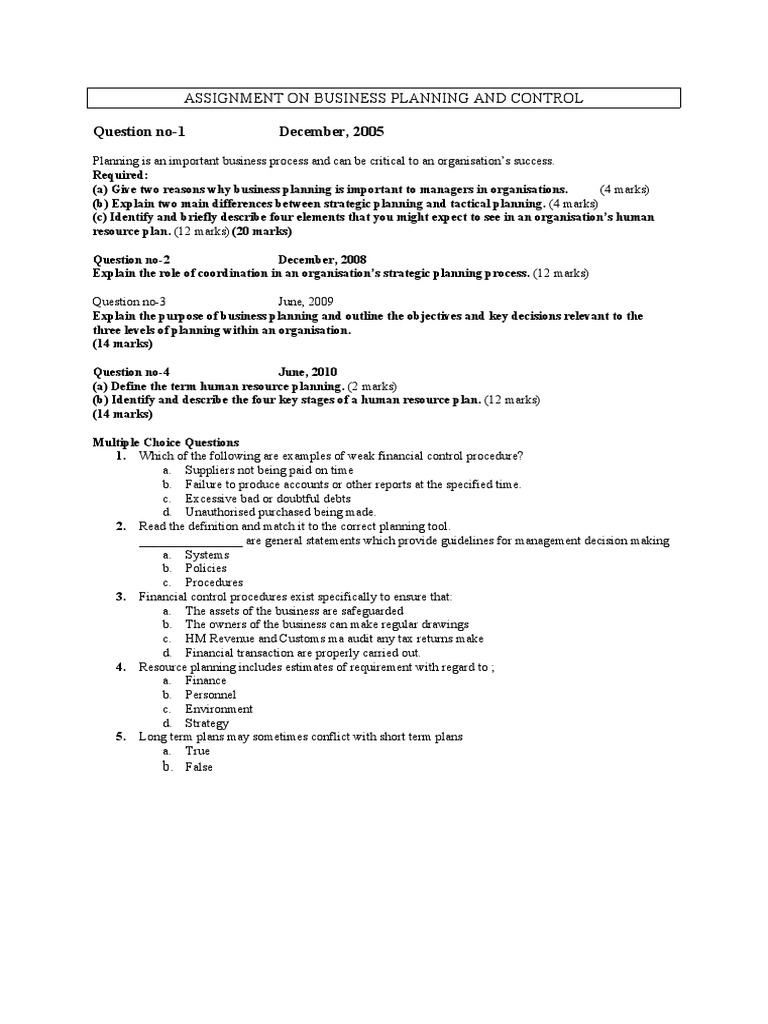 Business Planning and Control Assignment | PDF