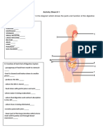 Activity Sheet in Digestive System