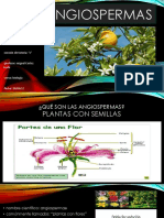 angiospermas diapositivas 2.0.pptx