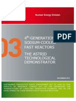 4th Generation Sodium Cooled Fast Reactors