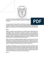 Quién es AMEFI.pdf