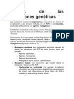 Causas de las mutaciones genéticas.docx