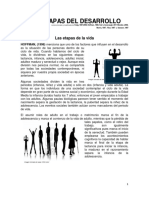 Etapas_desarrollo (2).pdf