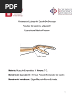 Vendaje Velpeau: Técnica y Aplicaciones | PDF | Enfermedades y ...