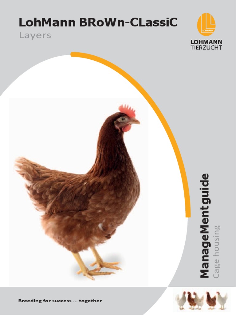 Lohman Brown Classic Management Guide Eng | PDF | Nutrients | Dietary Fiber