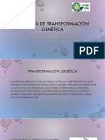 Métodos de Transformación Genética