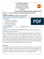 DESARROLLO DE UN TINTE COSMETICO A BASE DE SEMILLA DE Bixa Orellana L. (BIXACEA) Y EVALUACION DE SU EFECTO IN VITRO