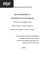 Metamorfose Na Interpretação Do Brasil Tensão No Paradigma Racial