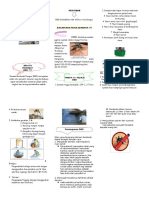 264368984-Leaflet-DBD-doc.doc