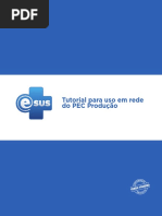 tutorial_esus_para_uso_em_rede_do_PEC