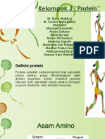 Protein Kel 3