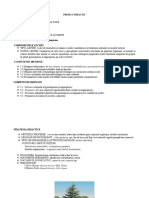 proiect_inspectie_gimnosperme (1).docx