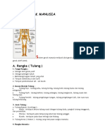 Sistem Gerak Manusia