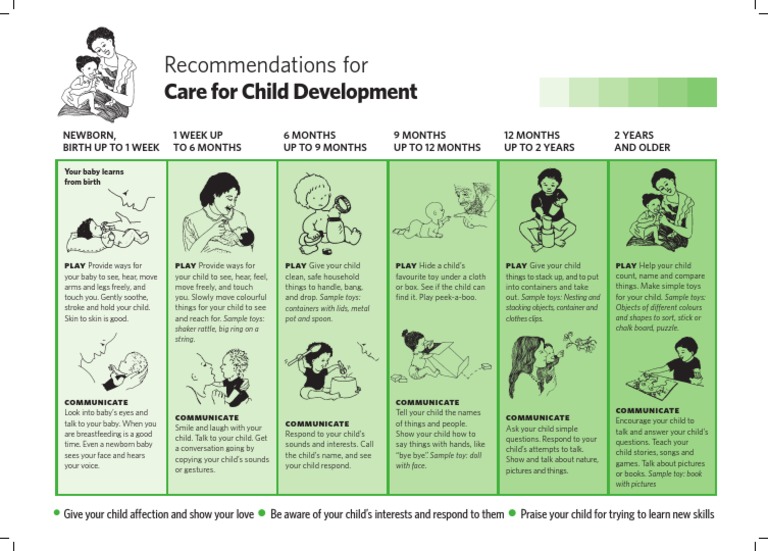 Child Development Care Guidelines | PDF | Toys | Child Development