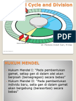 Cell Cycle and Division