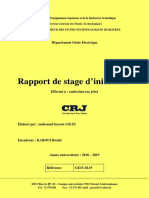 Rapport Mohamed Karoui Complet