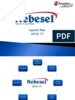 Nebesel LaunchPl