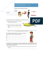 Direções Divisões Anatómicas PDF