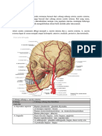 Vaskularisasi Craniofacial