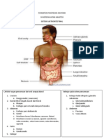 Penuntun Praktikum Anatomi 12-1 PDF