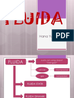 7 - Fluida