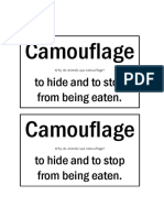 Camouflage