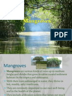 mangroves-130101054426-phpapp01