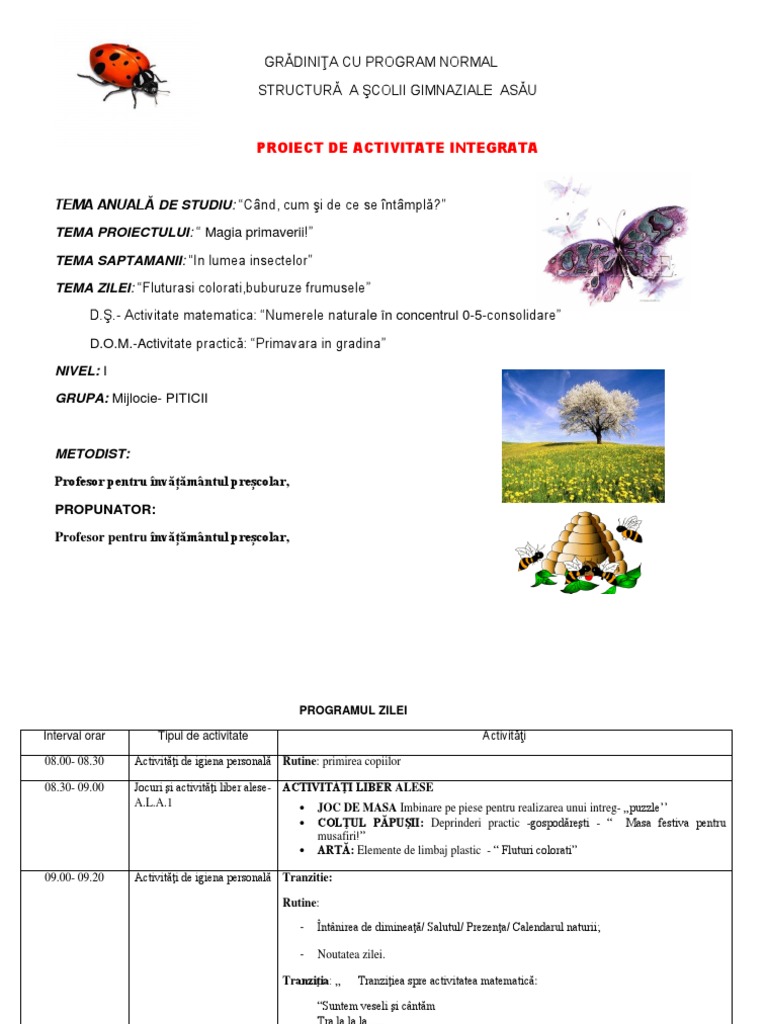 Proiect de Activitate Integrata Insecte | PDF