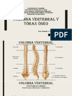 Columna Vertebral y Tórax Óseo