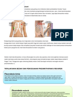 Nuel (Chest Tube)